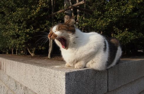 気持ちいい