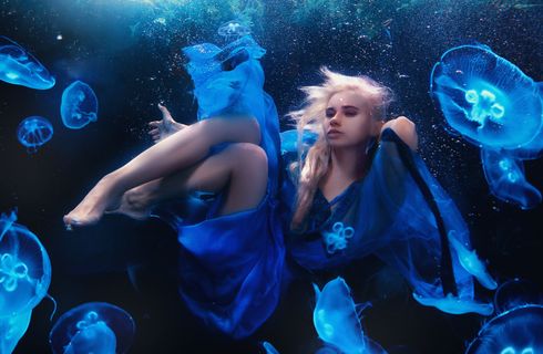 海