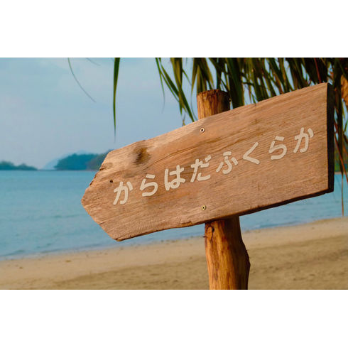 ウィルスって何だ？