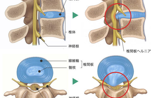 整体