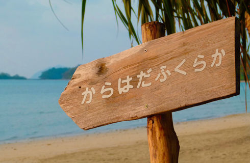 代表